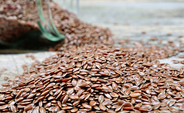 Common  Flax Seed